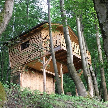 Treehouse Velké Losiny Zewnętrze zdjęcie