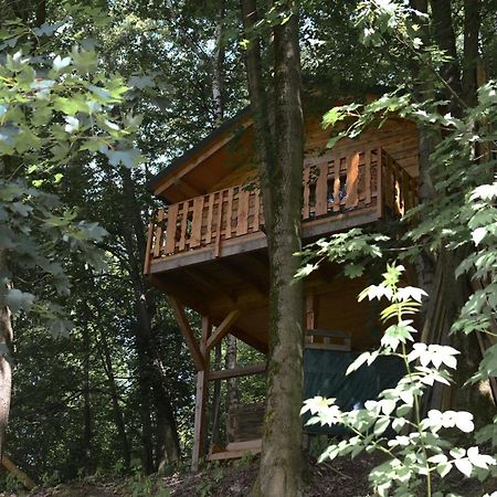 Treehouse Velké Losiny Zewnętrze zdjęcie
