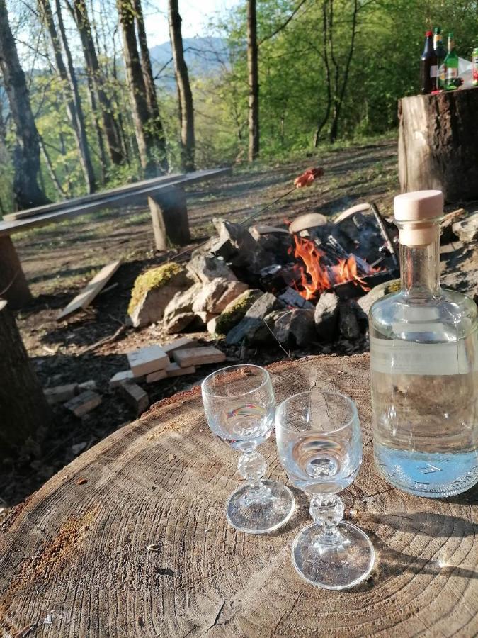 Treehouse Velké Losiny Zewnętrze zdjęcie