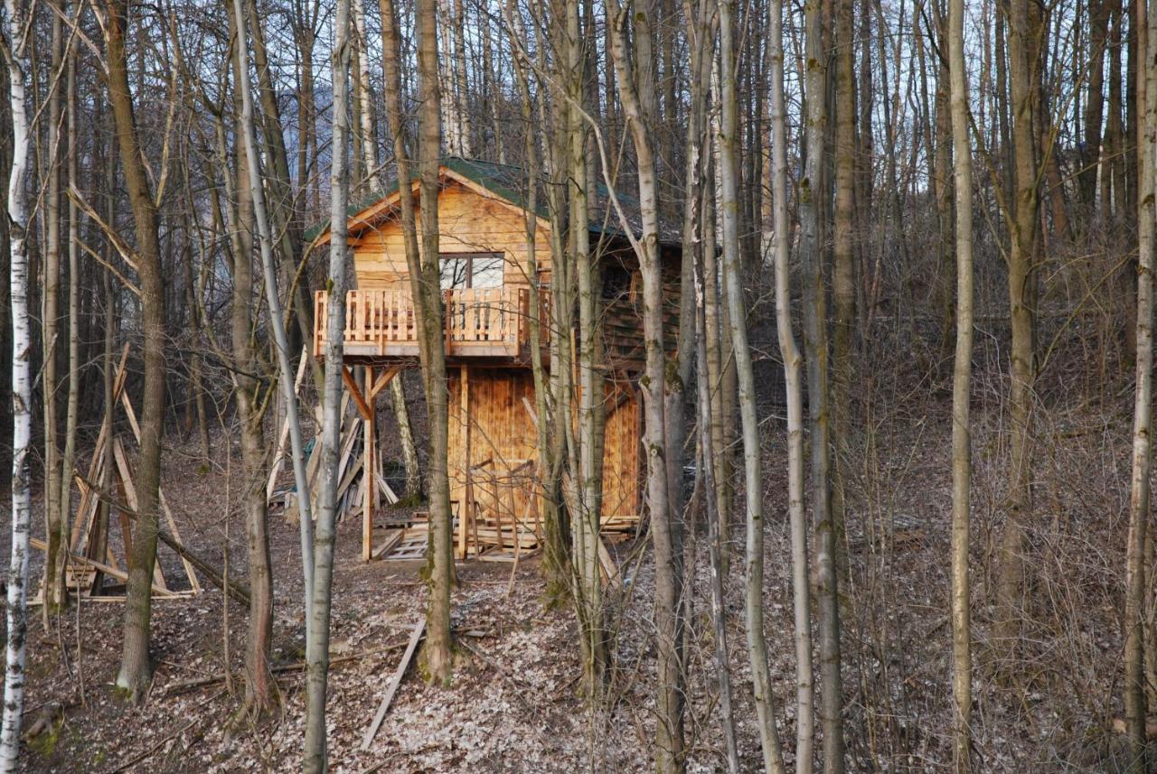 Treehouse Velké Losiny Zewnętrze zdjęcie