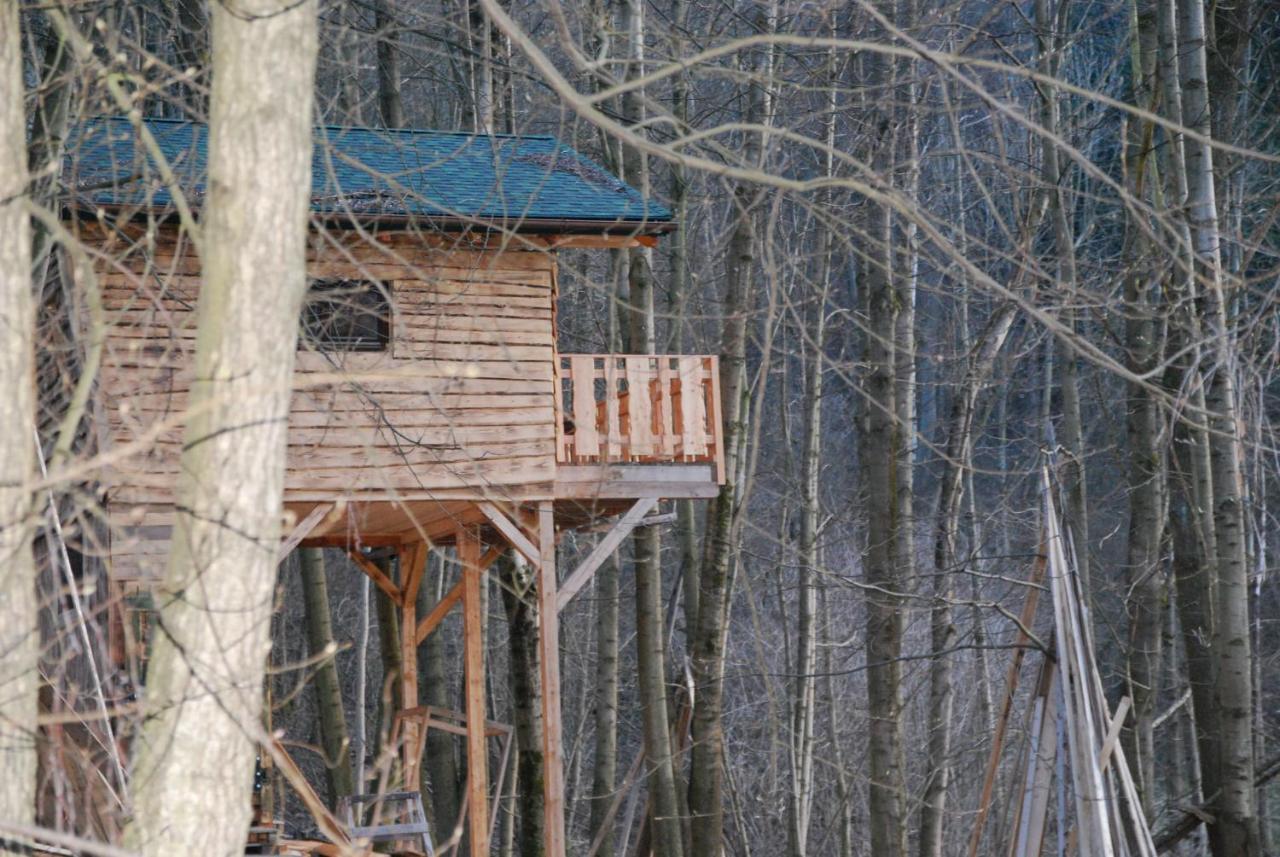 Treehouse Velké Losiny Zewnętrze zdjęcie