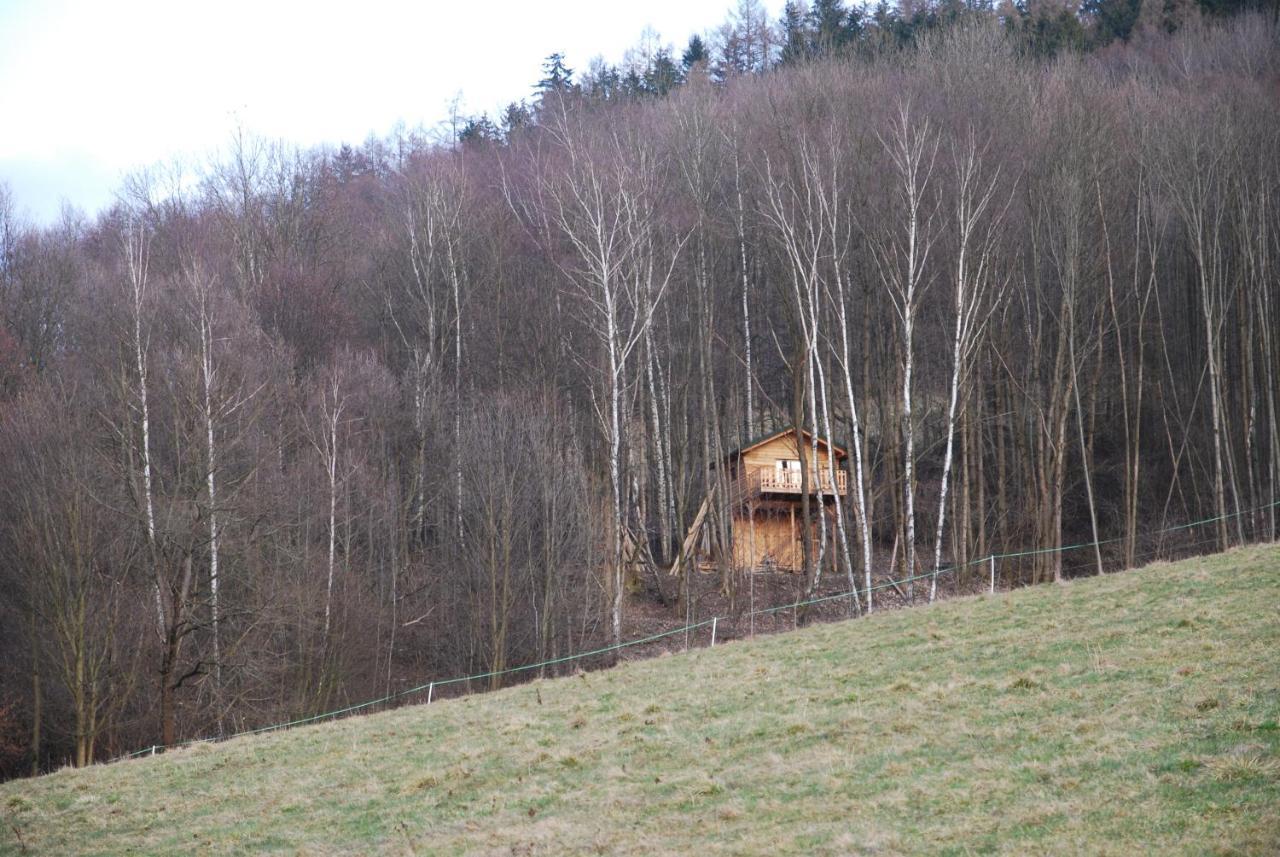 Treehouse Velké Losiny Zewnętrze zdjęcie