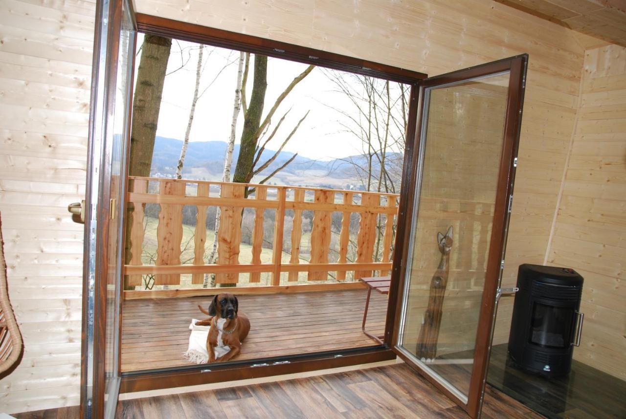 Treehouse Velké Losiny Zewnętrze zdjęcie