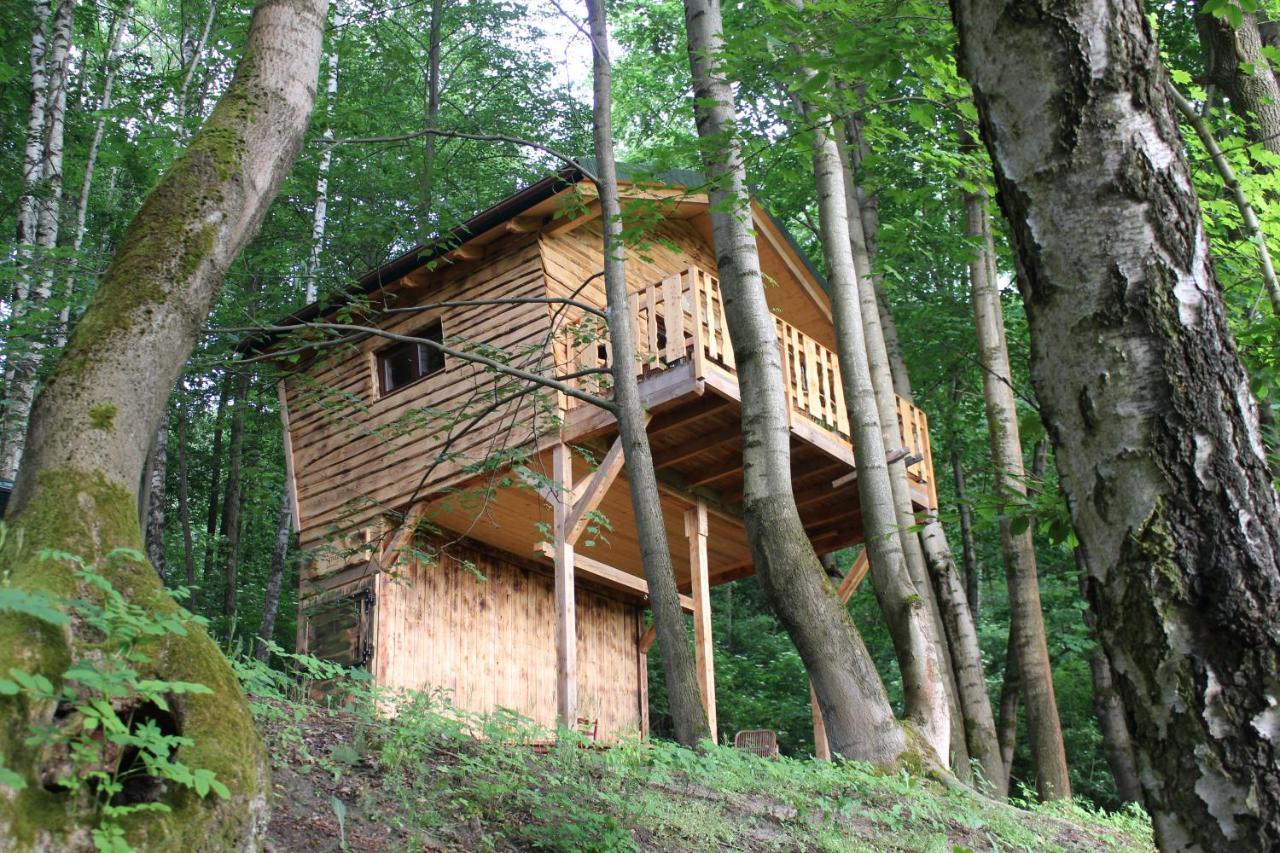 Treehouse Velké Losiny Zewnętrze zdjęcie